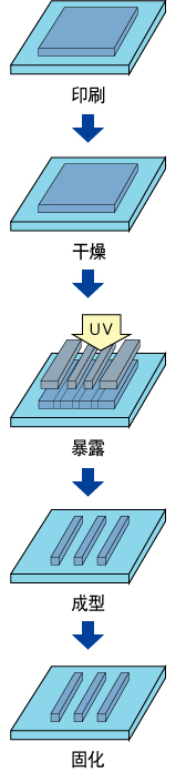 印刷 → 干燥 → 曝光 → 显影 → 固化