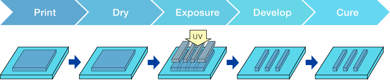 Print → Dry → Exposure → Develop → Cure