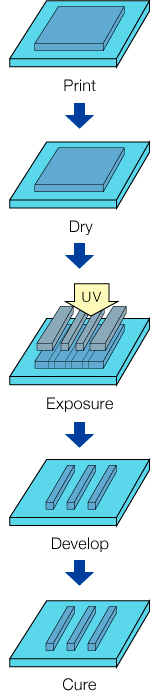 Print → Dry → Exposure → Develop → Cure