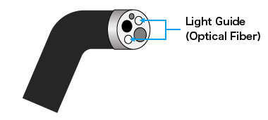 Endoscope