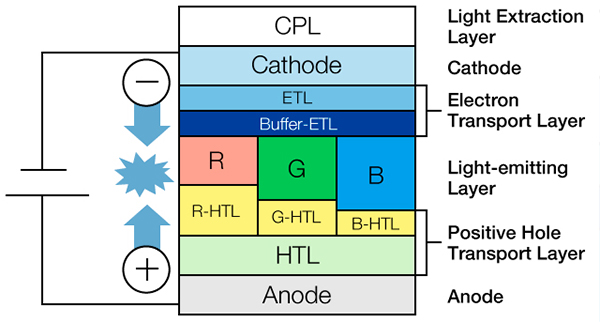 Cross Section of the Typical Organic EL Element Structure