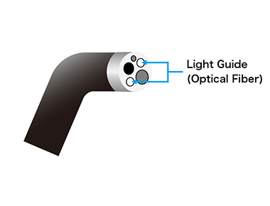 Light Guard Image
