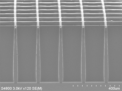 工例 (膜厚：500µm)図