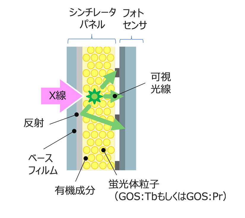 耐久性の向上イメージ