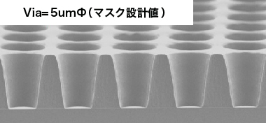 5μmビア