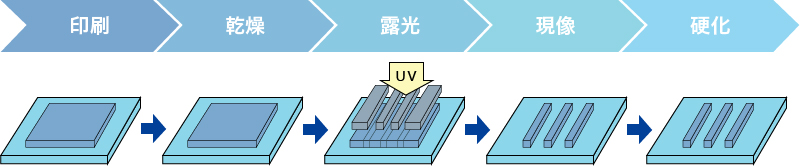 印刷 → 乾燥 → 露光 → 現像 → 硬化