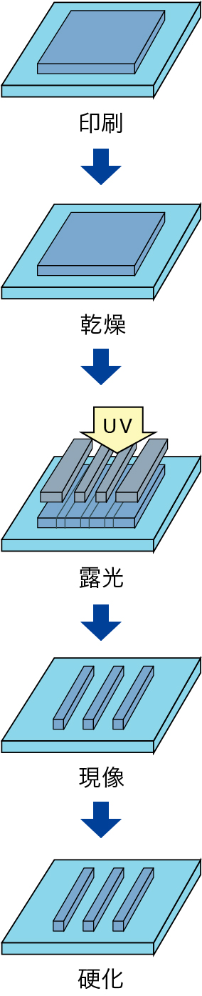 印刷 → 乾燥 → 露光 → 現像 → 硬化